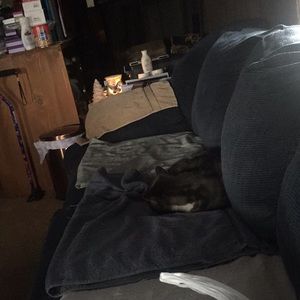 Meet your Posher, Linda